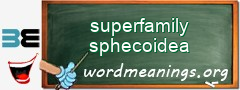 WordMeaning blackboard for superfamily sphecoidea